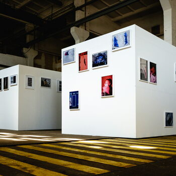 Zingst 2016 … Young Professionals