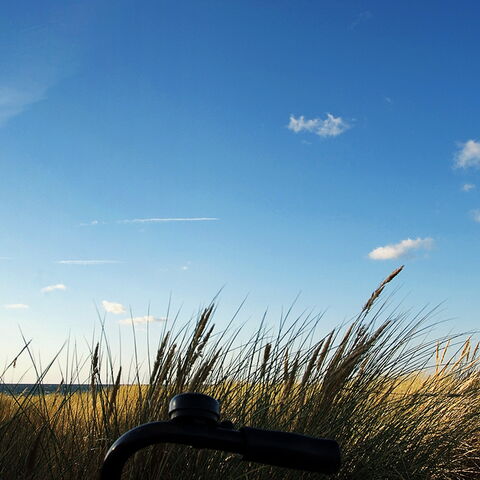 MixedPics - Nature | Landscape