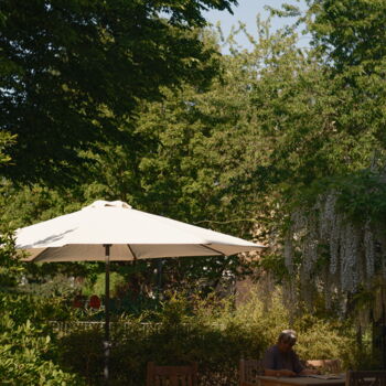 Von einem sonnigen Abend im Garten … und dem Pergear 25mm f/1.7 … @2025