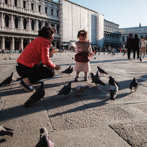 Travel Venice 2017 | Galerie