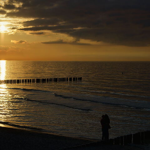 Zingst 2014 | Galerie