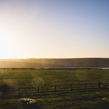 SOMETHING NICE FROM OUR LOVELY B & B, Unser »& & B Guesthouse«, Seaford - England 2019