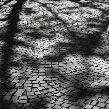 Shadows on the floor – den Blick fest auf den Boden geheftet! – @2026 Köln-City