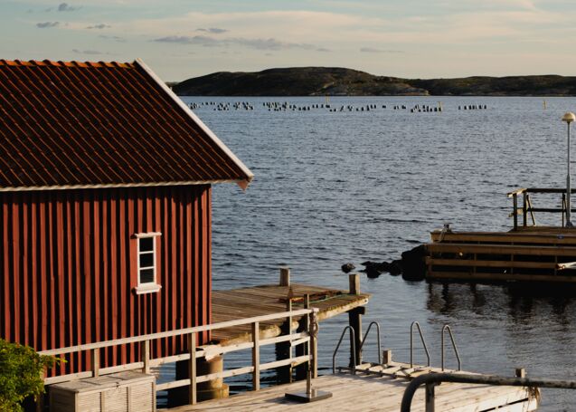 Schweden III – Bohuslän, Mollösund und …