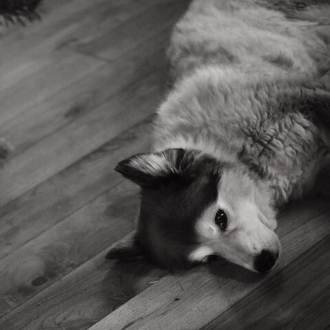 Weihnachtssbrunch 2019 bei den Ullis