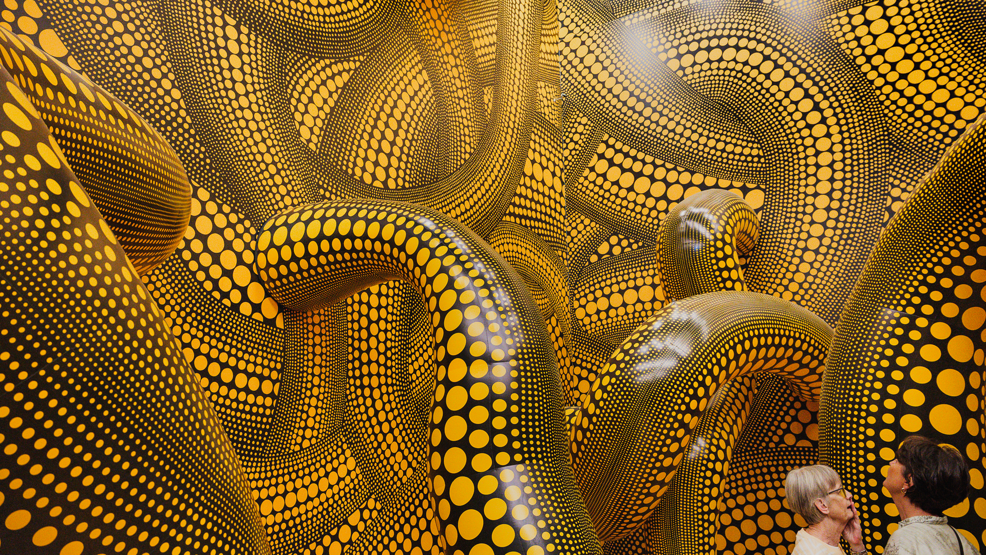 Yayoi Kusama im Museum Ludwig @2026